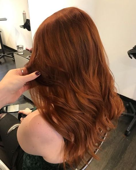 Orange Dye On Brown Hair, Box Dye Hair Color, Ginger Brown Hair Color, Red Hair Dye Colors, Ginger Brown Hair, Ion Hair Colors, Orange Brown Hair, Hair History, Colour Correction