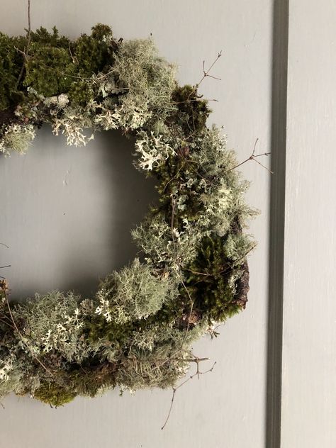 Fall Moss Wreath Ideas, Moss Wreath Christmas, Christmas Moss Wreath, Moss Wreath Halloween, Moss Christmas Wreath, Spanish Moss Wreath, Wreaths Moss, Lichen Wreath, Mossy Wreath