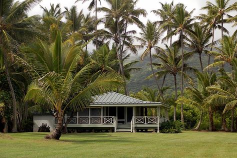 Grains Of Paradise, Hawaiian House, Living In Hawaii, Hana Maui, Hawaii House, Hawaiian Homes, Tropical Architecture, Hawaii Homes, Tropical House