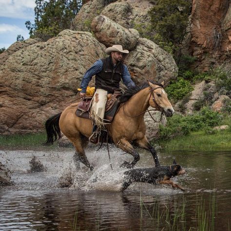 Cowboys And Horses, Man Horse Riding, Cowboys On Horses, Cowboy Reference, Cowboy Riding Horse, Cowboy And Horse, Cowboy On Horse, Horse Senior Pictures, Cowboy Photography