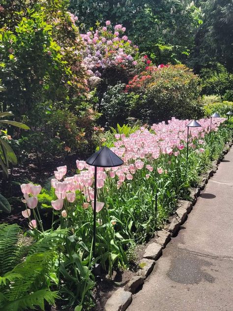 Beautiful Garden Victoria Vancouver Island, Victoria Island, Butchart Gardens, Summer 24, British Columbia Canada, Beautiful Place, Vancouver Island, Pretty Places, British Columbia