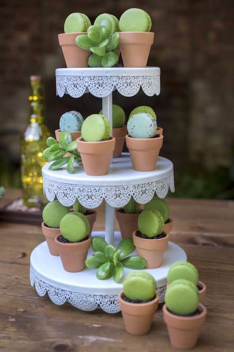 Kara's Party Ideas Rustic Garden Birthday Party | Kara's Party Ideas Desert Party, Succulent Theme, Garden Birthday Party, Plant Party, Fiesta Theme Party, Llama Birthday, Cactus Party, Fiesta Tropical, Pudding Cups