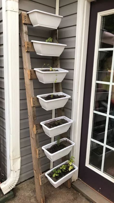 Ladder Planter, Garden Ladder, Herb Garden Planter, Old Ladder, Diy Ladder, Diy Herb Garden, Vertical Herb Garden, Plants Growing, Blanket Ladder