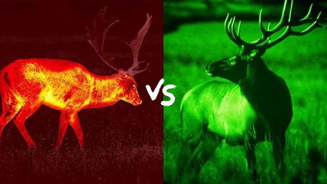 Thermal Scope vs Night Vision: What to Choose? Thermal Vision, Coyote Hunting, Anatomy Tutorial, Signal Processing, Scopes, Thermal Imaging, Dream Symbols, Visible Light, Extreme Weather