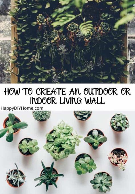 How to Create an Outdoor or Indoor Living Wall | Happy DIY Home Succulent Wall Diy, Diy Living Wall, Indoor Living Wall, Living Wall Diy, Biodynamic Gardening, Living Wall Indoor, Gardens Of Babylon, Wall Diy, Vertical Gardens