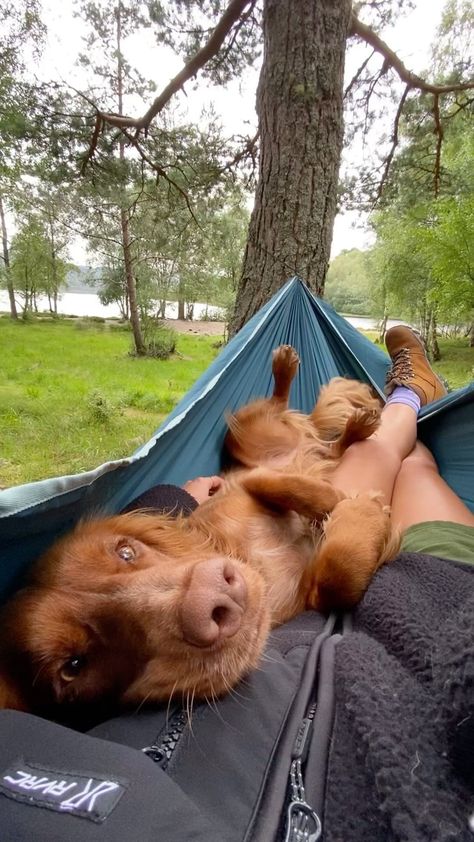 theedinburghspaniels on Instagram: Dogs > people 🤷🏼‍♀️ Hammock @decathlonuk Boots @karrimorofficial via @gooutdoors Jacket @revolutionrace Dog Hammock, Hiking Dogs, Dog Adventure, Dog People, Instagram Dogs, Outdoor Dog, Family Dogs, Dog Photography, Animals Friends