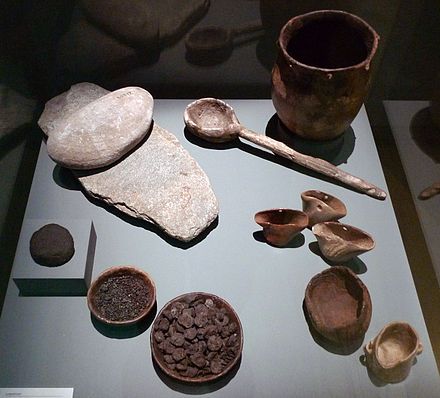 Food and cooking items retrieved at a European Neolithic site: millstones, charred bread, grains and small apples, a clay cooking pot, and containers made of antlers and wood Neolithic Revolution, Clay Cooking Pot, Paleolithic Period, Albanian Culture, High Middle Ages, Hunter Gatherer, Early Middle Ages, Iron Age, Stone Age