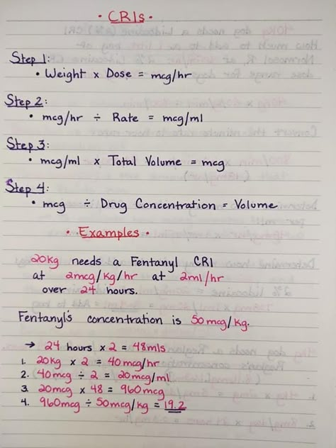 Vet Tech Knowledge, Veterinary Medical Math, Vet Tech Medical Math, Vet Tech Nerd Book, Livestock Veterinarian Notes, Veterinary Technician Cheat Sheets, Veterinary Fluid Rates, Veterinarian School Notes, Veterinarian Technician Notes