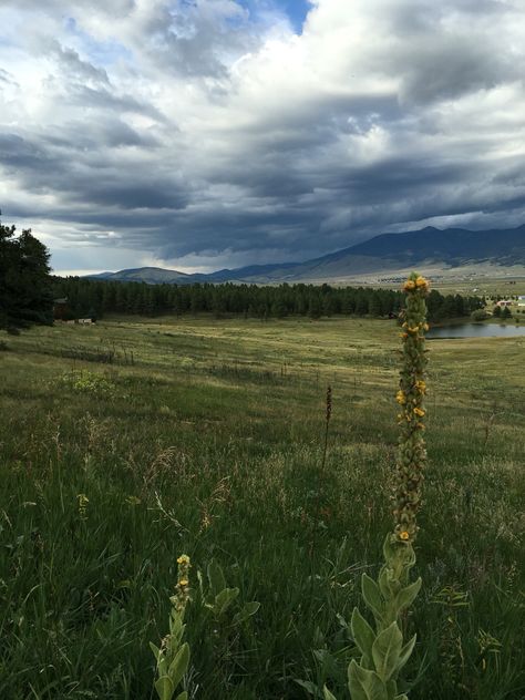 Moreno Valley, Land Of Enchantment, New Mexico, Mexico