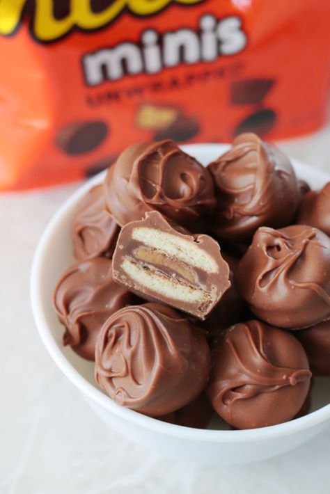 Easy Tagalong Cookie Bites (Peanut Butter Patties) Twix Bites Rolo, Peanut Butter Chocolate Bugles, Vanilla Wafers Recipe Desserts, Vanilla Cream Caramels, Rolo Nilla Wafer, Nutterbutter Truffles, Payday Bites, Peanut Butter Patties, Twix Bites