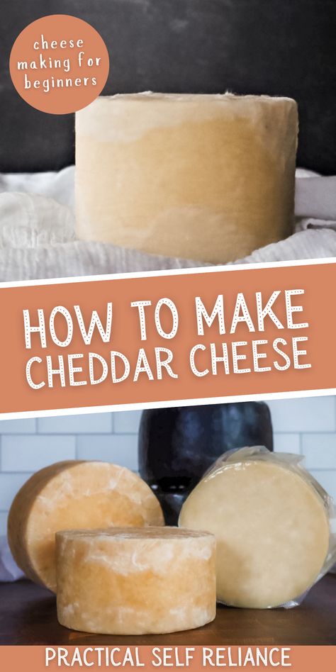 Homemade Cheddar Cheese, Cheese Recipes Homemade, Cheese Making Recipes, Cheese At Home, Goat Milk Recipes, Diy Cheese, Homemade Cheese, Self Reliance, No Dairy Recipes