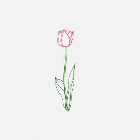 Tulip Illustration Simple, Simple Tulip Tattoo, Tulip Sketch, Diy Shirt Printing, Tulip Illustration, Flowers Drawn, Tulip Drawing, Tulip Tattoo, Simple Border