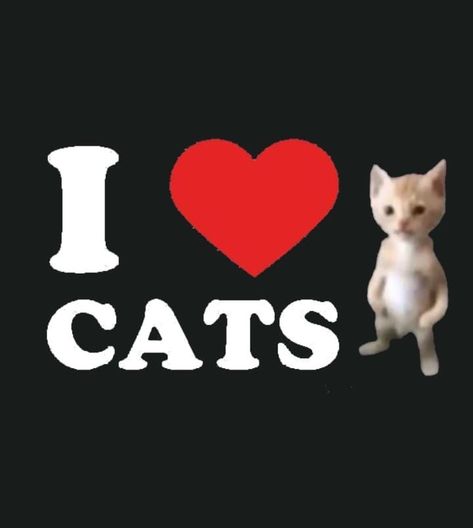 I Love Cats, I Love, Red, Black, Santos