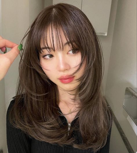 Korean Layers With Bangs, Bangs Asian Hair Round Face, Korean Haircut Without Bangs, Wispy Bangs With Layers Round Face, Straight Bangs With Layers, Medium Layered Haircuts With Wispy Bangs, Wispy Bangs Korean Style, Bang Haircuts For Round Faces, Layered Hair With Wispy Bangs Round Face