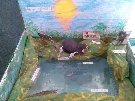 Hippopotamus diorama Hippo Habitat Diorama, Hippo Diorama, Zoo Diorama, Habitats Projects, Diy Things, Science Fair, Hippopotamus, School Fun, School Projects