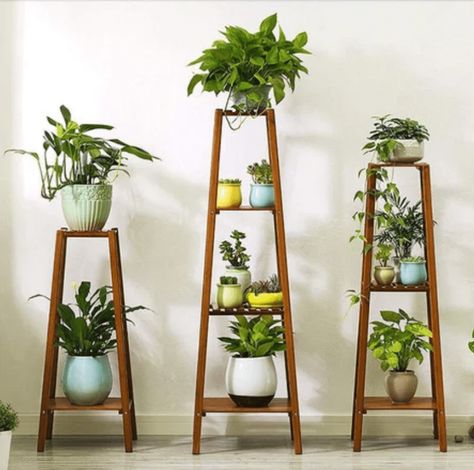 Tall Plant Stand Indoor, Garden Displays, Corner Plant, Tall Plant Stands, Lisa Johnson, Plant Stands Outdoor, Modern Plant Stand, Wooden Plant Stands, Plant Display