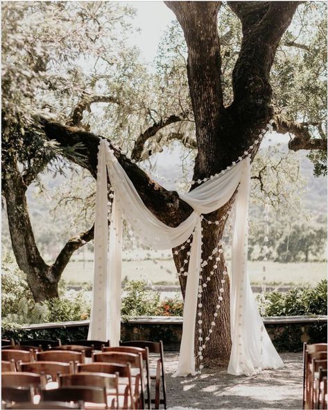 Wedding Ceremony Tree Decor, Standing Wedding Ceremony, Wedding Arch Tree, Tree Wedding Ceremony, Ivory Backdrop, Reception Music, Wedding Alters, Sonoma California, Oyster Bar