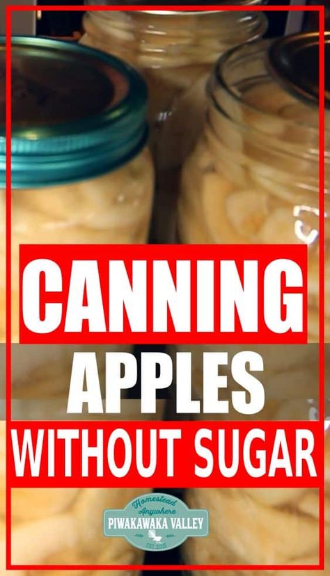 Canning apples without sugar. How to preserve apples sugar free. These effective instructions will safely can apples with no additional sugar. Canning Fresh Apples, Apples For Canning, Can Apples, Apple Canning, Water Canning, Preserve Apples, Preserving Apples, Sugar Free Apple Pie, Canning Apples