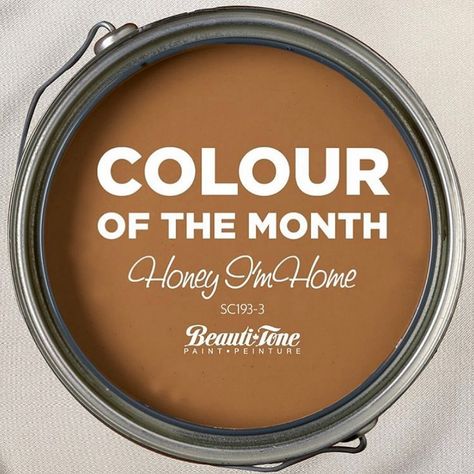 Strathmore Home Hardware on Instagram: “Fall in love with our Color Of The Month - Honey I’m Home 🍯 . . . Get the cozy look of leather cognac with warm amber hues for a fraction 💵…” Limosine Leather Behr, Cognac Paint Color, Cinnamon Paint Colors, Home Paint Color, Color Of The Month, Copper Interior, House Facades, Brown Decor, Painted Walls