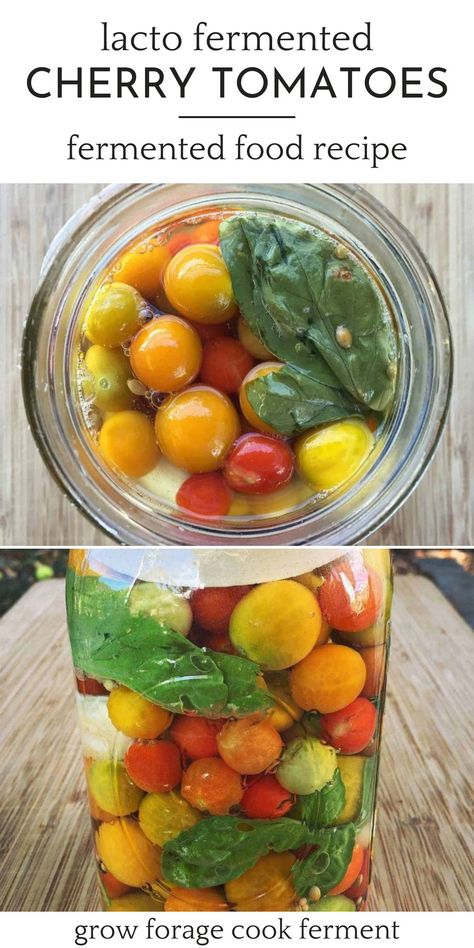 Lacto Fermented Cherry Tomatoes, Fermented Cherry Tomatoes, Lacto Fermented Tomatoes, Lacto Fermentation Recipes, Fermented Foods Recipes, Lactofermentation Recipes, Lacto Fermented Vegetables, Fermented Fruit Recipe, Preserve Cherry Tomatoes