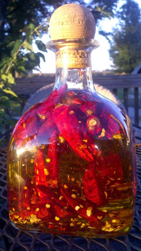 Infused Oil Recipes, Hot Pepper Recipes, Easy Chilli, Hot Chili Oil, Chili Oil Recipe, Flavored Olive Oil, Chilli Oil, Dried Chillies, Olive Oil Recipes