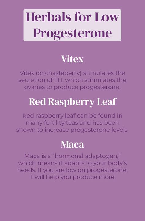 Low Progesterone Remedies, Boost Progesterone, How To Boost Progesterone, Foods To Increase Progesterone, Increase Lh Hormone, How To Increase Progesterone Naturally, How To Improve Progesterone Levels, Ways To Increase Progesterone, Natural Progesterone Food