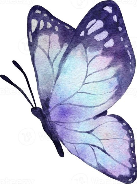 Mixing Paint Colors, Watercolor Birthday Cards, Butterfly Printable, Doodle Art Drawing, Watercolor Birthday, Butterfly Drawing, Beautiful Wallpapers Backgrounds, Purple Watercolor, Butterfly Watercolor