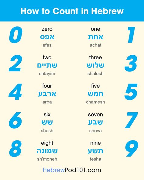 Hebrew Numbers, Learn Hebrew Alphabet, Hebrew Language Learning, Hebrew Language Words, Hebrew Education, Hebrew Vocabulary, Hebrew Writing, Jewish Learning, Hebrew Lessons