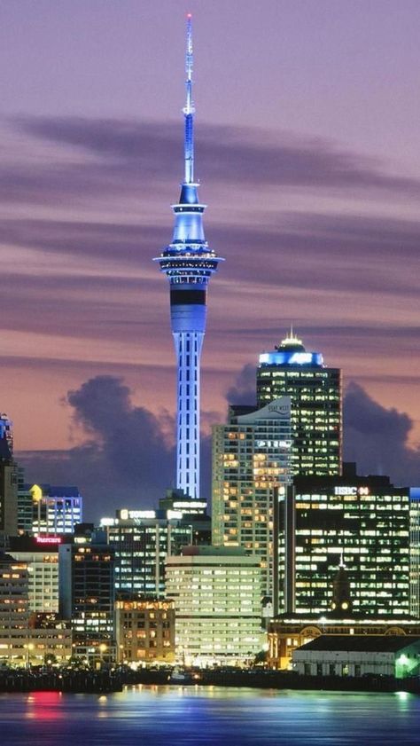 Sky Tower, Aukland Sydney Tower, Bungee Jump, Sky Tower, Base Jump, North Island New Zealand, New Zealand Houses, New Zealand North, Auckland Nz, Blue Lighting