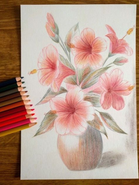 Pencil Crayon Flowers, Pencil Colours Art Drawings, Oil Pastel Drawings Easy, Pencils Art, Pencil Drawings Of Flowers, Abstract Pencil Drawings, Color Pencil Illustration, Pop Art Animals, Crayon Drawings