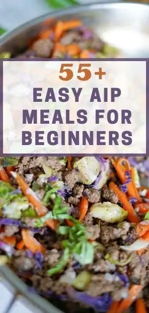 Aip Recipes Autoimmune Protocol, Autoimmune Protocol Diet Recipes, Meals For Beginners, Autoimmune Diet Recipes, Aip Diet Recipes, Aip Meals, Aip Breakfast, Autoimmune Paleo Diet, Autoimmune Recipes