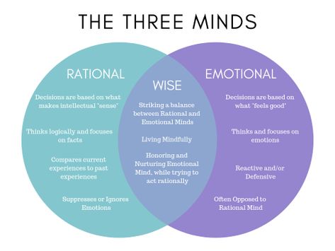 The 3 Minds: Emotional, Rational, and Wise Wise Mind, Peaceful Mind, Therapy Tools, Learn A New Language, Human Mind, Mental And Emotional Health, Coping Skills, Emotional Intelligence, Emotional Health