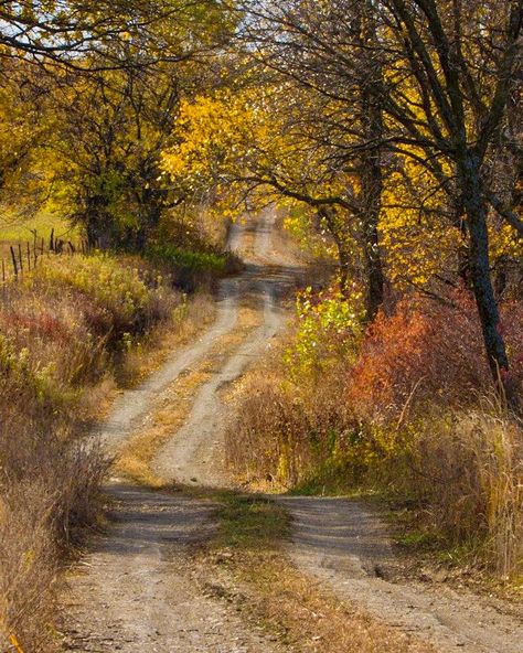 An old dirt road in autumn (no location given) by Susie Swanson 🍂cr. Country Stuff, Fall Beauty, Country Roads Take Me Home, Forest Path, Happy Trails, Country Scenes, Back Road, Autumn Scenery, Dirt Road