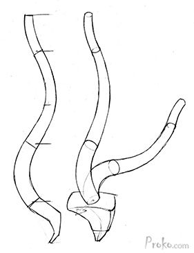 How-To-Draw-the-Spine-Step-3 Spine Drawing, Anatomy Tutorial, Human Anatomy Drawing, Master Drawing, Anatomy Sketches, Anatomy For Artists, Body Anatomy, Anatomy Drawing, Anatomy Reference