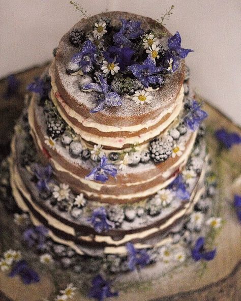 Beautiful naked wedding cake topped with purple edible flowers and berries #weddingcake #nakedweddingcake #love #wedding #cake #edibleflowers Mystical Wedding Cake, Purple Woodland Wedding, Elvish Wedding Cake, Wedding Cake Designs Simple 2 Tier, Green And Purple Wedding Cake, Fairy Wedding Cake, Wedding Cake With Purple Flowers, Wedding Cake Purple Flowers, Wedding Cake Purple