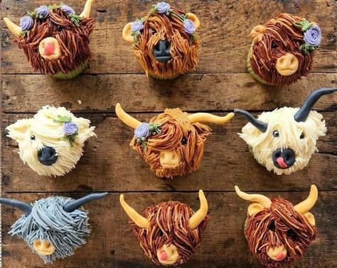 What's Cuter Than Highland Cattle Cupcakes!? Cow Birthday Cake, Cow Cupcakes, Cow Cakes, Cow Birthday, Baking Business, Highland Cattle, Chocolate Chip Banana Bread, Men In Black, Buttercream Flowers