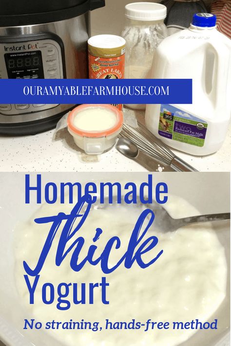 Gf Cooking, Homemade Yogurt Recipes, Yogurt Bread, Grass Fed Gelatin, Dairy Recipes, Thick Yogurt, Dessert From Scratch, Making Yogurt, Organic Milk