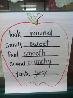 apple ideas kindergarten - Google Search Apple Chart Preschool, Sensory Apple Activities, Apple Anchor Chart Preschool, Johnny Appleseed Day Activities, Apples Unit Preschool, Apple Week In Kindergarten, Johnny Appleseed Day Kindergarten, Apple Writing Kindergarten, Apple Language Activities Preschool