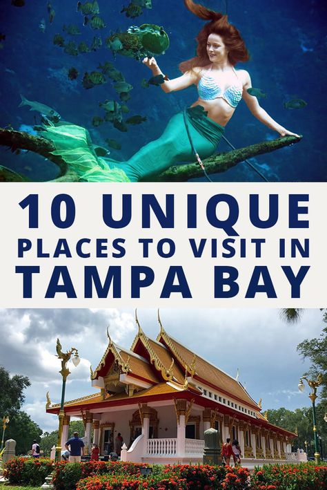 Things To Do In Tampa Florida, Things To Do In Tampa, Beautiful Place In The World, Tampa Bay Florida, Florida Adventures, Travel Wishes, Florida Life, Florida Trip, Attic Space