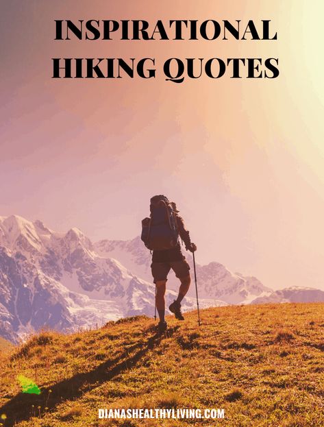 Looking for inspirational hiking quotes? Here is a list of the most motivational hiking captions for those who love the outdoors and adventure. #hiking #hikingquotes #adventure #adventurequotes #instagram Hiking Love Quotes, Hiking Inspiration Quotes, Hiking Motivation, Hike Quotes, Trails Quotes, Hiking Quotes Adventure, Motivational Captions, Clear My Mind, Bucket List Quotes