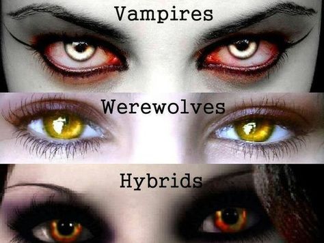 :You're the mix between werewolf and vampire, sharing traits with them. You're intimidating and you always stand up for your loved ones no matter what and are very solitary but sometimes you just like to just chill like normal. Different Colored Eyes, Vampires And Werewolves, Charcoal Drawings, Mystical Creatures, Arte Fantasy, 판타지 아트, Eye Art, Eye Drawing, Fantasy World