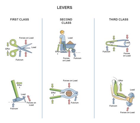 Lever Forces Stock Illustration Diy Lever Arms, Front Lever Progression, Levers For Kids Simple Machines, Functional Anatomy, Science Diagram, Diagram Ideas, Mechanical Advantage Simple Machines, Jag Lever, Science Diagrams