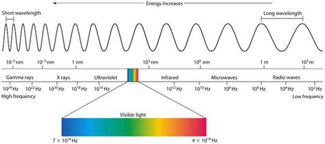 The Electromagnetic Spectrum | Mini Physics - Learn Physics Online Em Spectrum, Optician Training, Frequency Healing, Learn Physics, Light Spectrum, Light Waves, Physics Notes, Electromagnetic Spectrum, Radio Waves