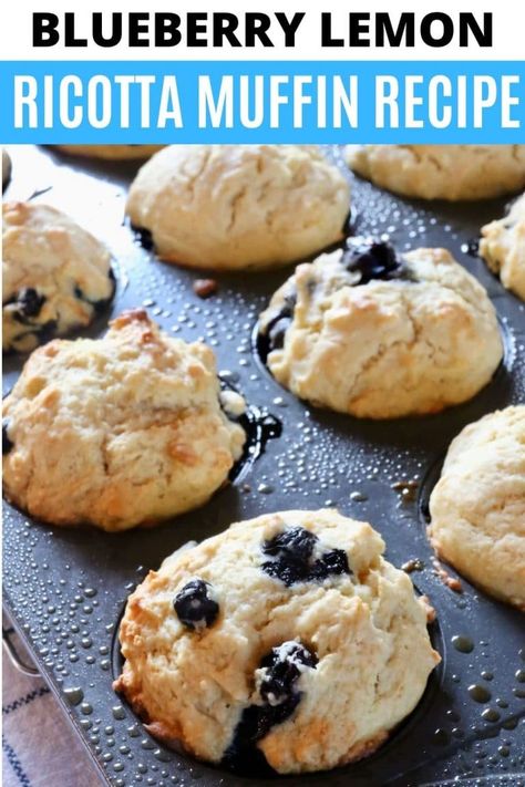 Keto Ricotta Muffins, Ricotta Cheese Muffins, Lemon Ricotta Muffins Healthy, Lemon Ricotta Blueberry Muffins, Lemon Blueberry Cottage Cheese Muffins, Blueberry Ricotta Scones, Fast Muffin Recipes, Ricotta Muffins Healthy, Blueberry Ricotta Muffins