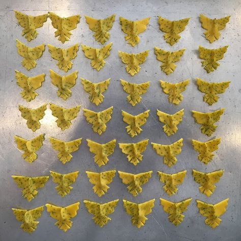 29 Pasta shapes. Anthony Andiario is the chef at Andiario in West Chester, Pennsylvania, but thousands of people can’t seem to get enough of his handmade pastas on Instagram. Pasta Making Tools, Pasta Dough Recipes, Pasta Art, Handmade Pasta, Homemade Noodles, Making Pasta, Stop Scrolling, Pasta Dough, Pasta Maker