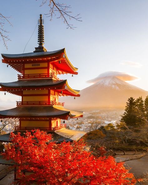 Chureito Pagoda, Japan Autumn, Japan Temple, Monte Fuji, Japan Architecture, Famous Castles, Japanese Temple, Aesthetic Picture, Japan Photo