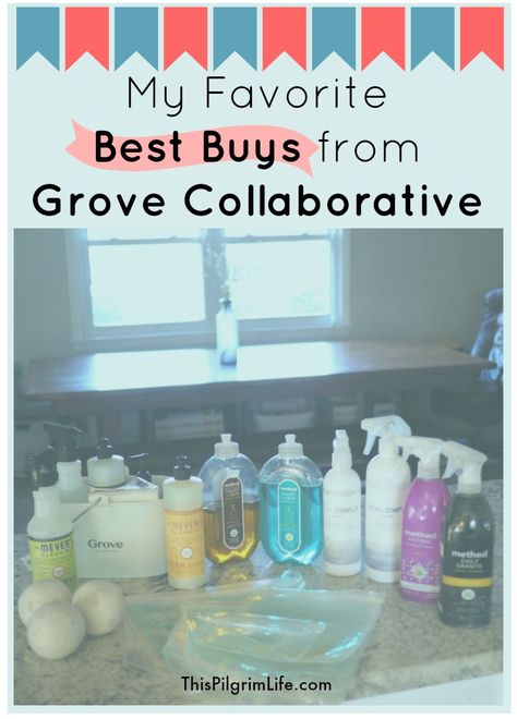 I have been a Grove Collaborative shopper for years. I love how much time and money I save by ordering from Grove each month. Keep reading to see a list of my favorite best buys from Grove, as well as how you can get several of them for FREE! Pilgrim Life, Grove Collaborative, Christian Homemaking, Organization Lists, Diy Cleaners, Laundry Soap, Kitchen Ideas, Cool Things To Buy, Hand Soap Bottle