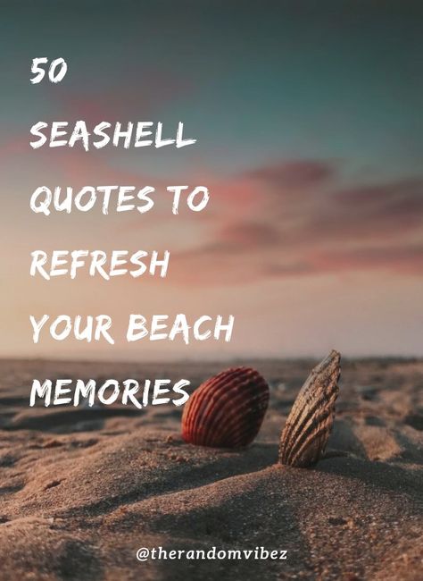 #seashells #seashellsquotes #seashellssayings #seashellscaptions #ocean #beach #inspirationallifequotes #holidayquotes #adventure #beachcombing #sea #memories #seashellsquotesimages #seashellsshortquotes Quotes About Sea Shells, National Seashell Day, Shell Love Quotes, Shell Quotes Seashells Sayings, Sea Shell Sayings, Quotes About Seashells, Seashell Quotes Inspirational, Ocean Sayings Short, Seashell Poems