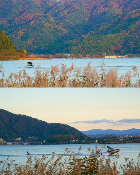 🍁Ōishi Park offers a picturesque setting where you can see beautiful flowers and kochia plants during autumn, with the stunning backdrop of Lake Kawaguchi-ko and the majestic Mt. Fuji🗻 Surrounding Lake Kawaguchiko, you'll find numerous attractions and the annual autumn leaves festival is not to be missed! Check out this year’s festival info below ⬇️ 🍁Fuji Kawaguchiko Autumn Leaves Festival #富士河口湖紅葉祭り 📍Main Event Spot: Lake Kawaguchi Maple Corridor #もみじ回廊 📆2024 Oct 26 ~ Nov 20 ⏰9AM ~ 7... Kochia Plants, Lake Kawaguchiko, Mt Fuji, Main Event, Autumn Leaves, Beautiful Flowers, Maine, This Year, Lake