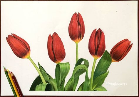 Red tulips drawing Red Tulips Drawing, Tulip Drawing, Flower Drawing Tutorials, Inspiration Painting, Color Schemes Colour Palettes, Butterfly Drawing, Nature Drawing, Red Tulips, Art Inspiration Painting